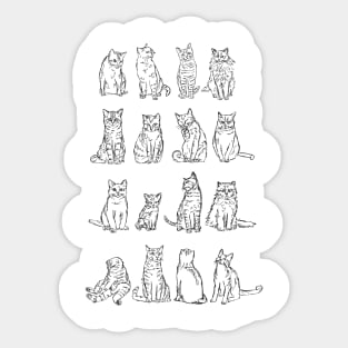 Taxonomy of Cat Breeds Sticker